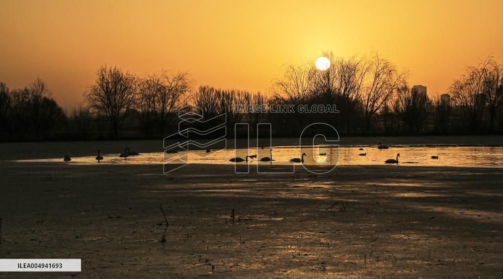 Winter Scenery - China