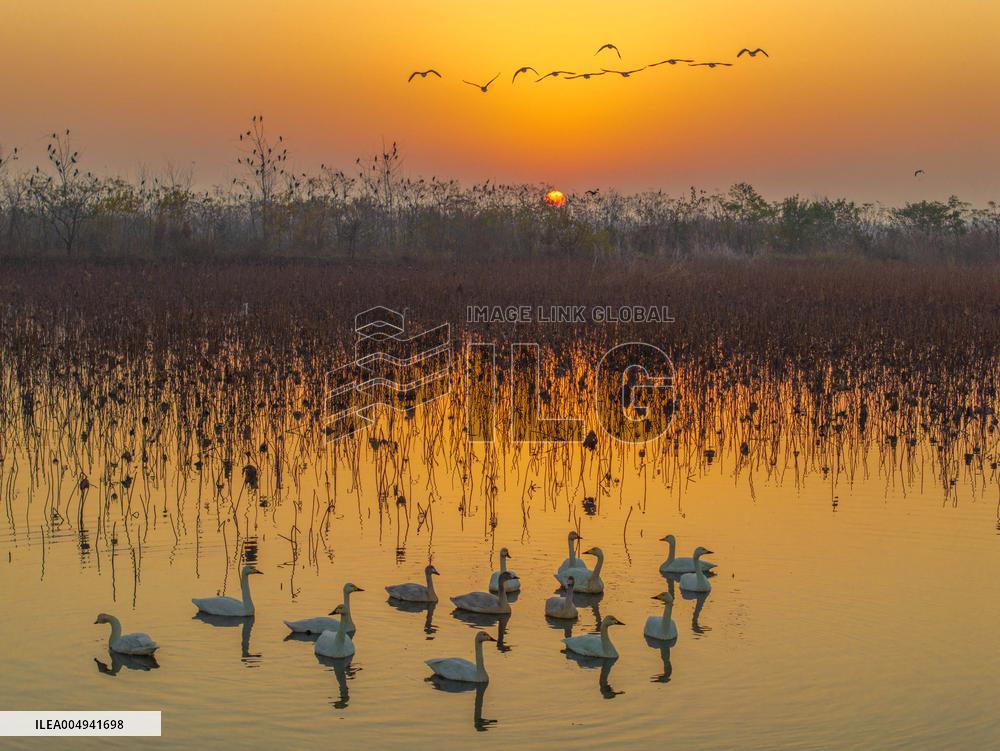 Winter Scenery - China