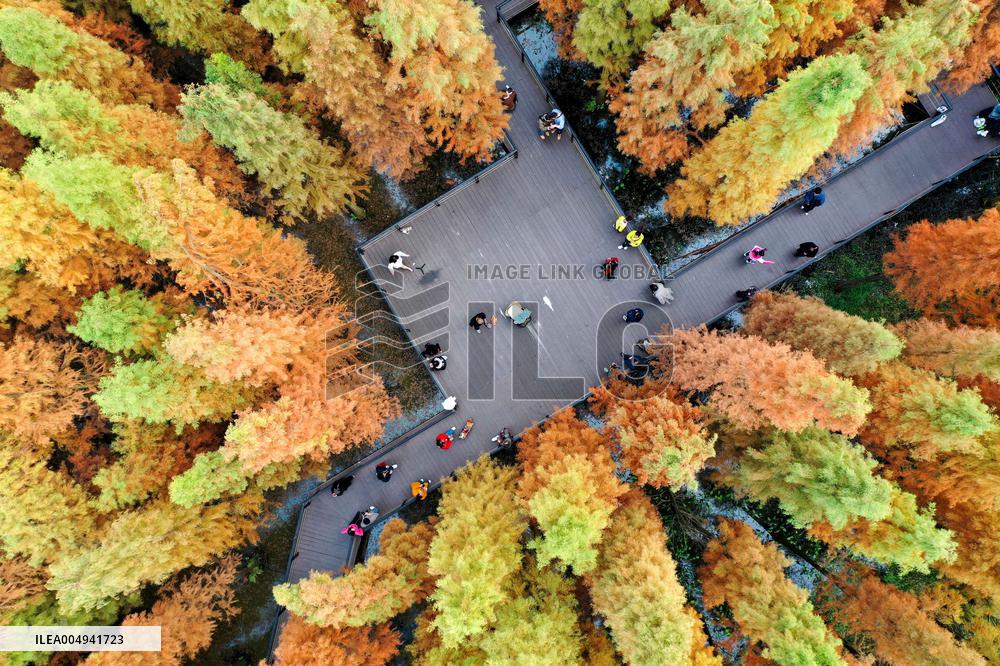 Winter Scenery - China