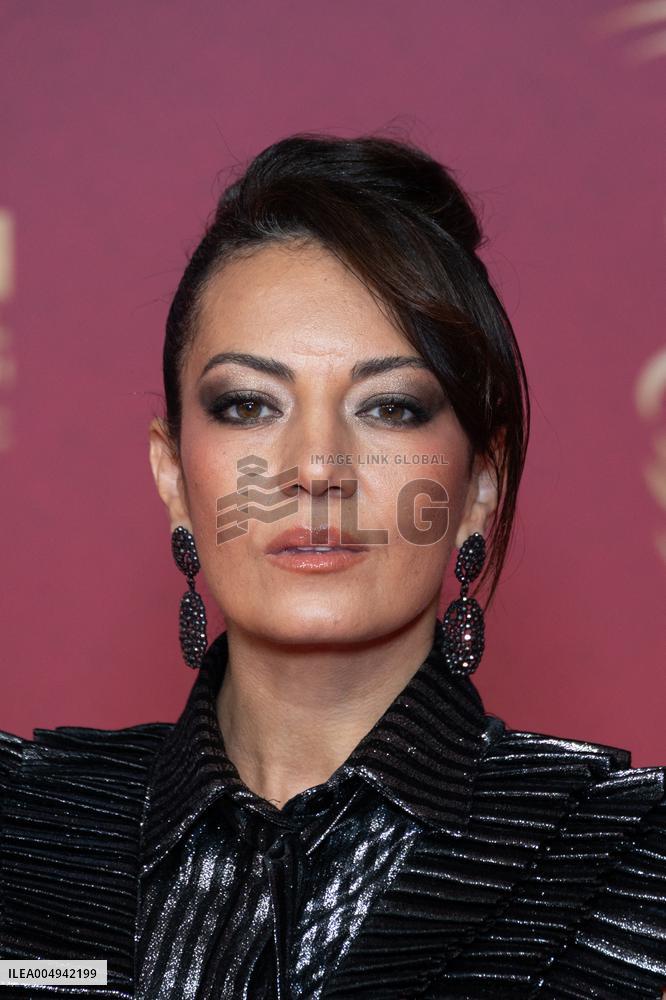 22nd Marrakech International Film Festival Day 3