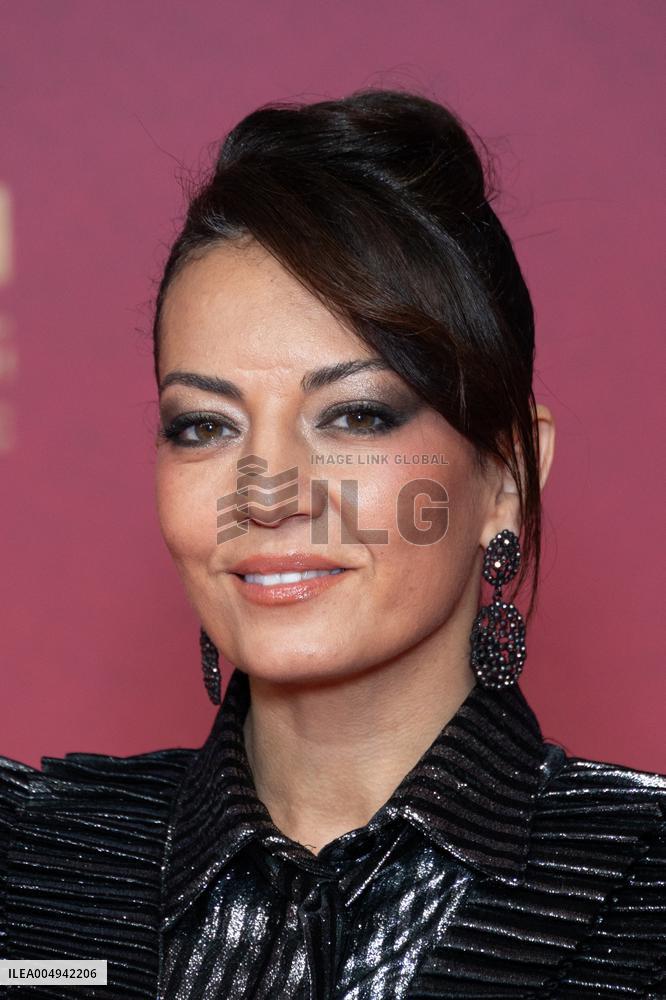 22nd Marrakech International Film Festival Day 3