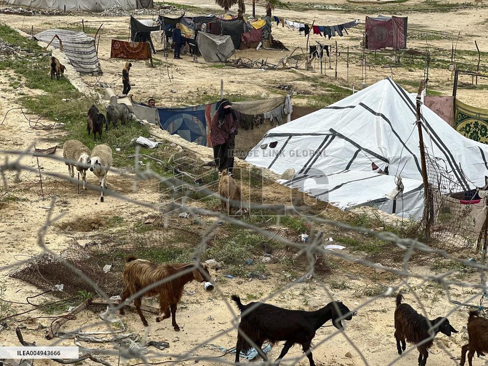 Difficult Humanitarian Conditions Near the Khan Yunis Landfill - Palestine