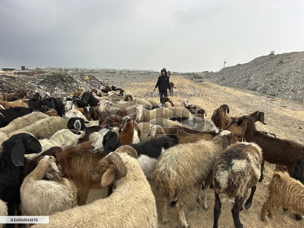 Difficult Humanitarian Conditions Near the Khan Yunis Landfill - Palestine