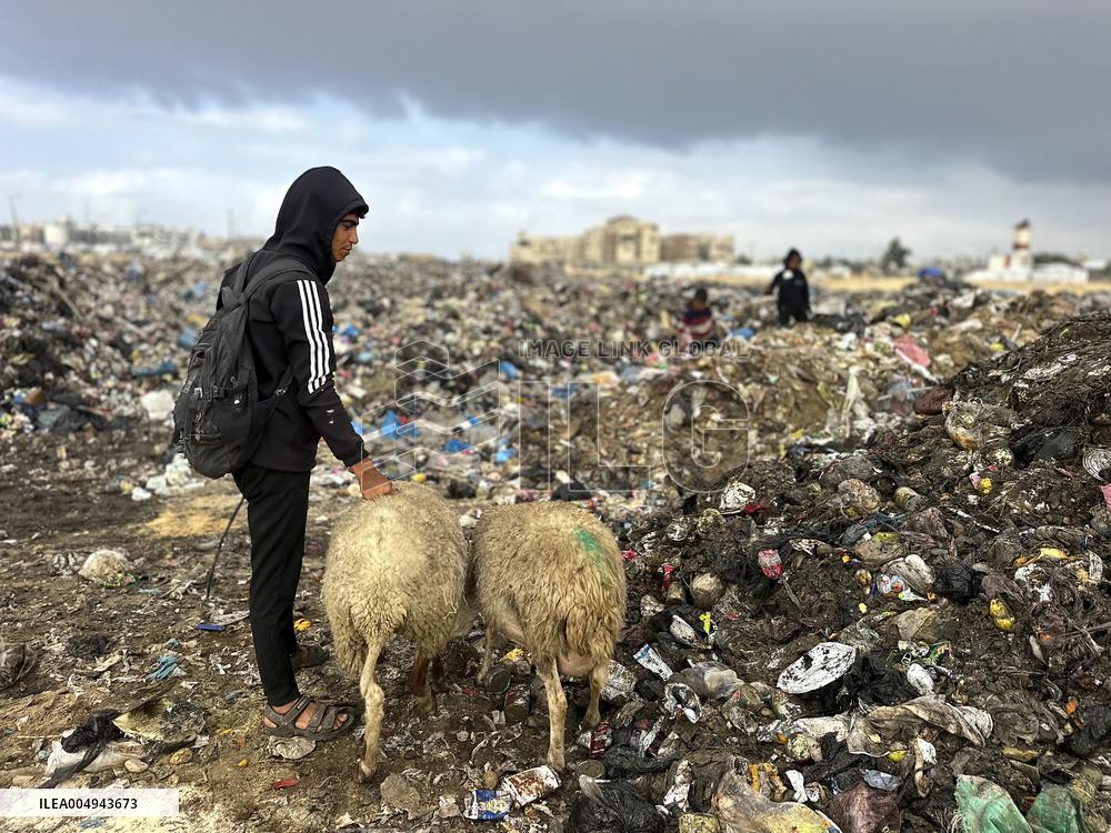 Difficult Humanitarian Conditions Near the Khan Yunis Landfill - Palestine