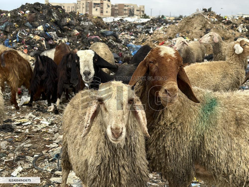 Difficult Humanitarian Conditions Near the Khan Yunis Landfill - Palestine