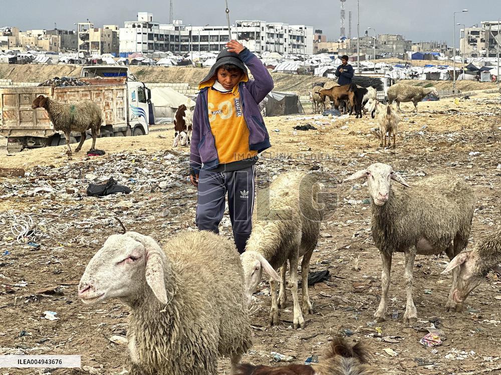 Difficult Humanitarian Conditions Near the Khan Yunis Landfill - Palestine