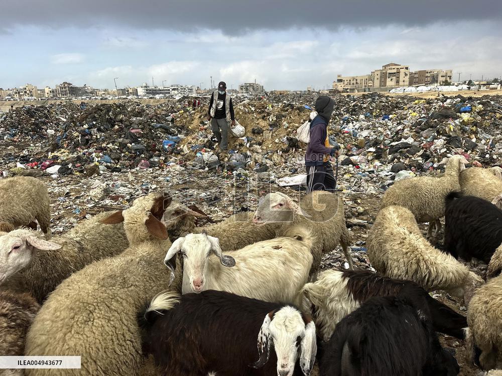 Difficult Humanitarian Conditions Near the Khan Yunis Landfill - Palestine
