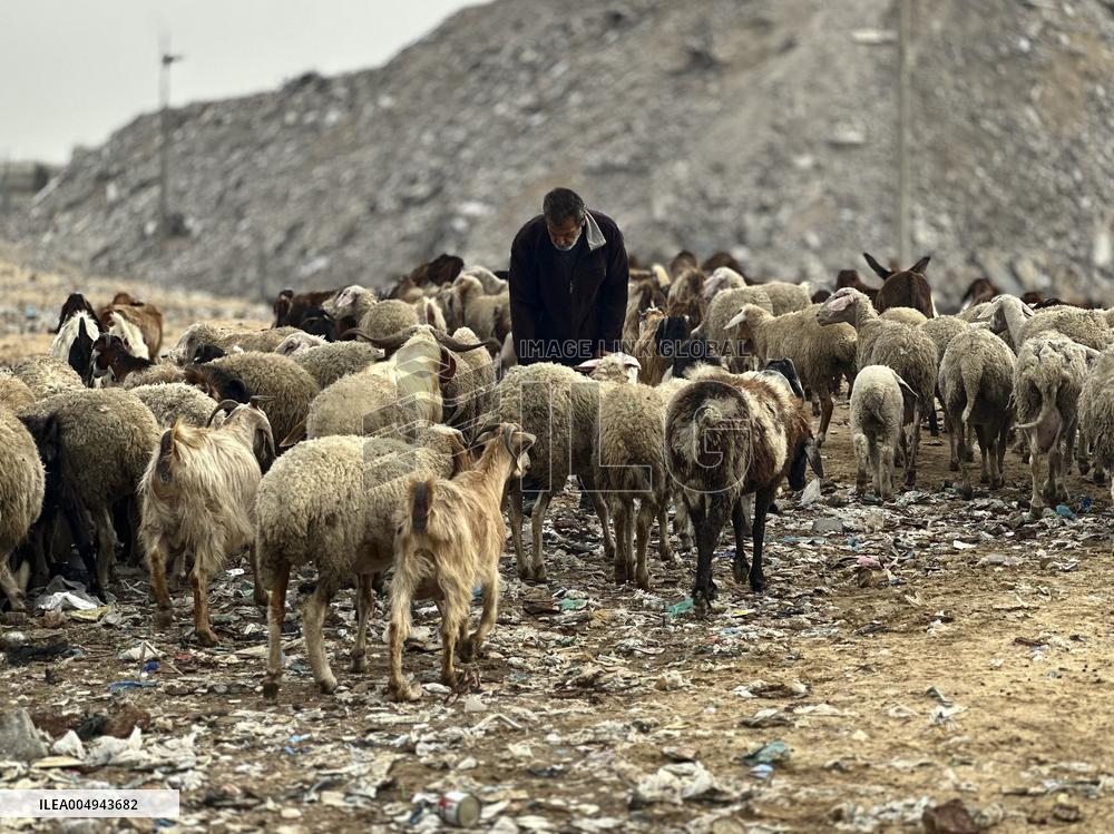 Difficult Humanitarian Conditions Near the Khan Yunis Landfill - Palestine