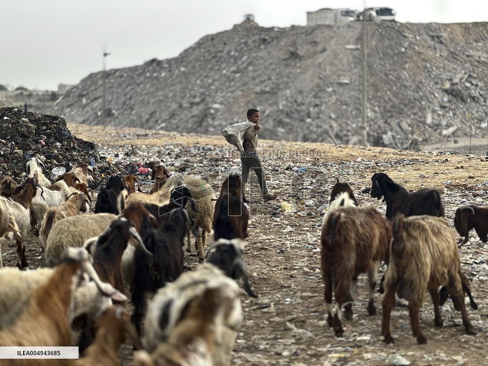 Difficult Humanitarian Conditions Near the Khan Yunis Landfill - Palestine