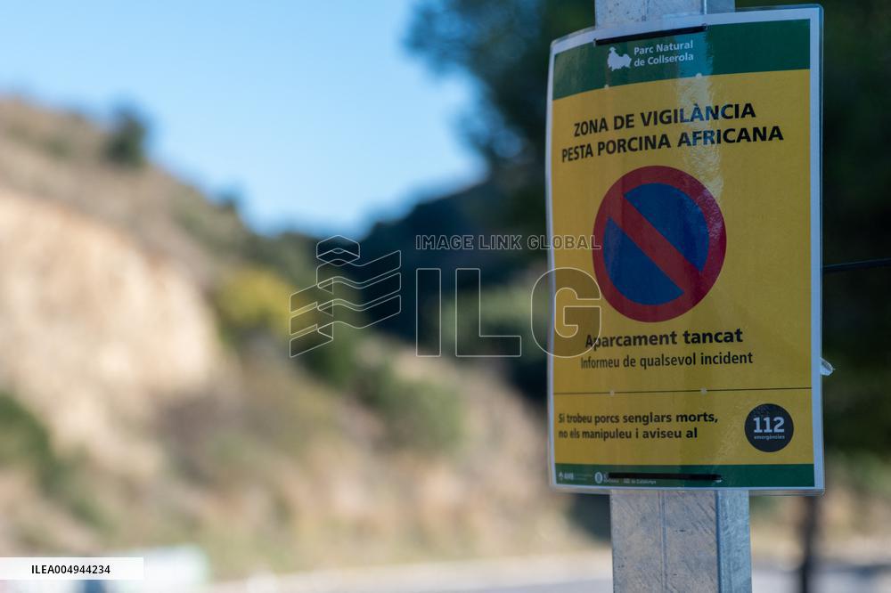 EMU Deployment In Response To African Swine Fever Outbreak - Barcelona