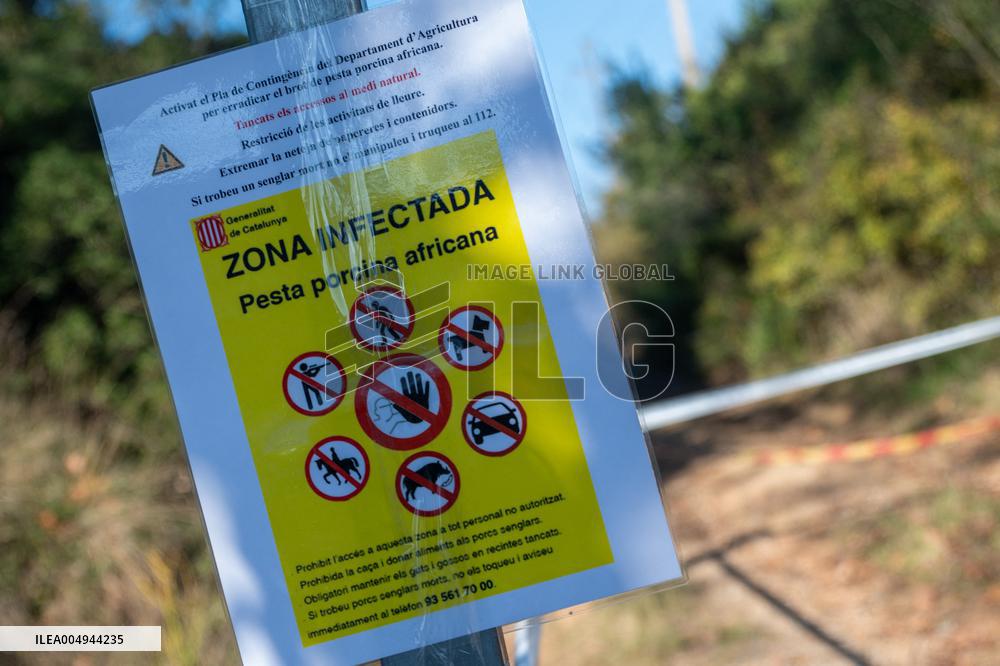 EMU Deployment In Response To African Swine Fever Outbreak - Barcelona