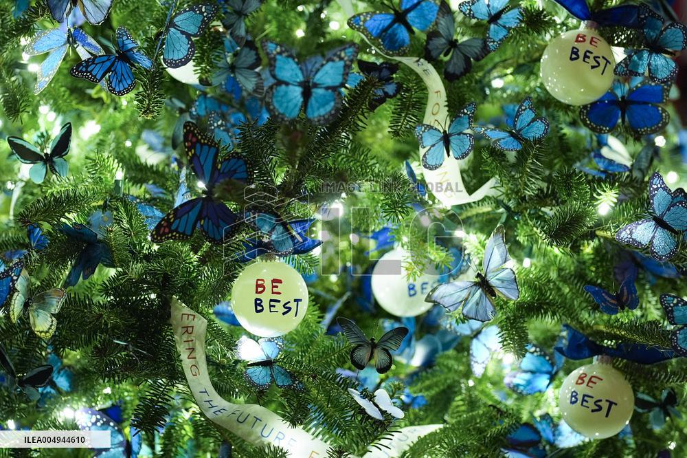 White House Christmas Design - Washington