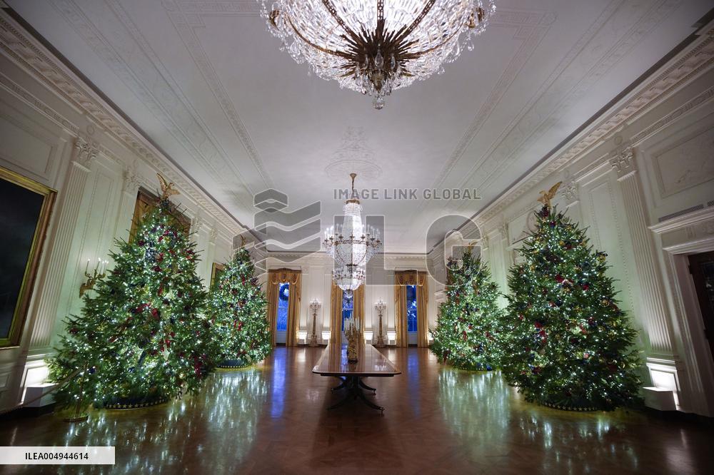 White House Christmas Design - Washington