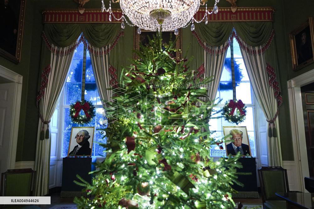 White House Christmas Design - Washington