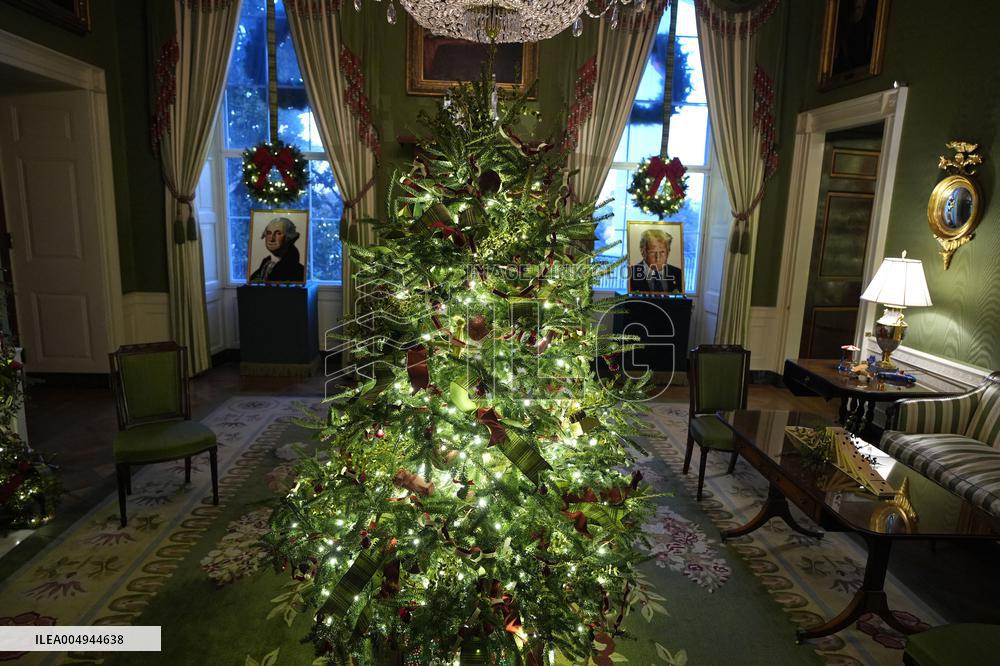 White House Christmas Design - Washington