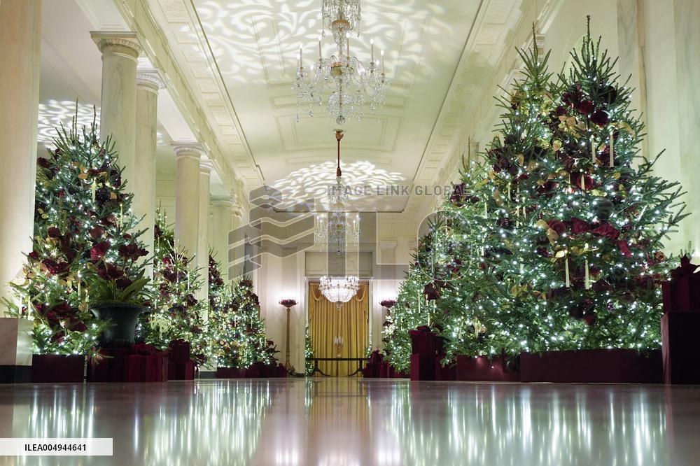 White House Christmas Design - Washington