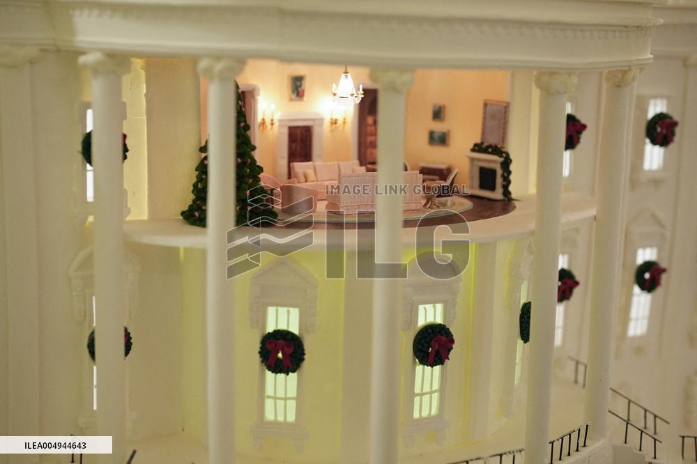 White House Christmas Design - Washington