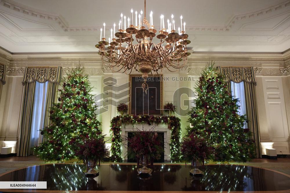 White House Christmas Design - Washington