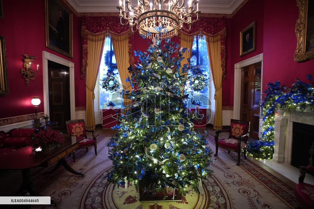 White House Christmas Design - Washington
