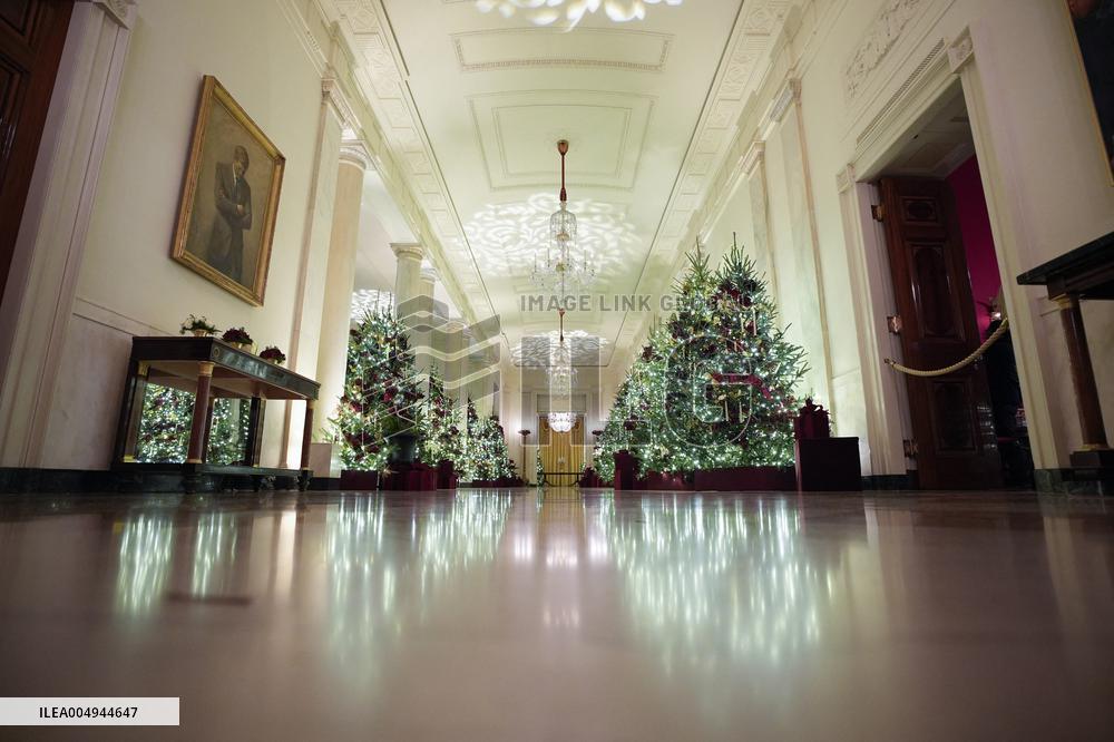 White House Christmas Design - Washington