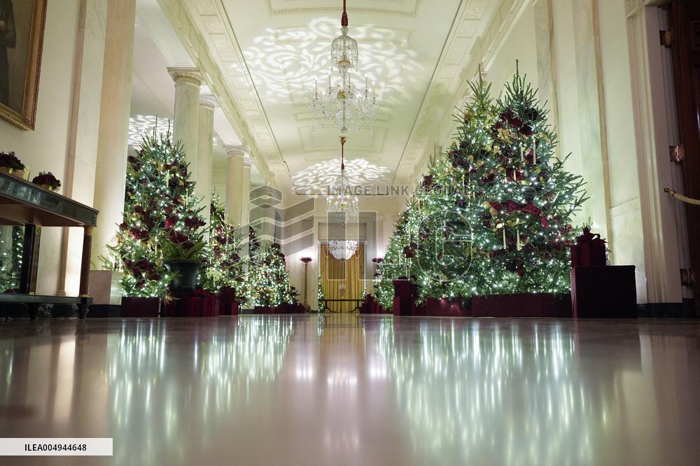 White House Christmas Design - Washington