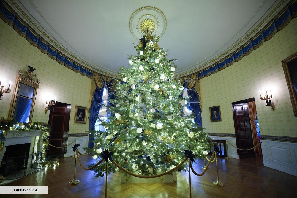 White House Christmas Design - Washington