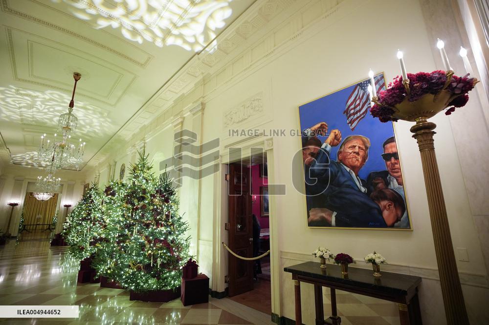 White House Christmas Design - Washington