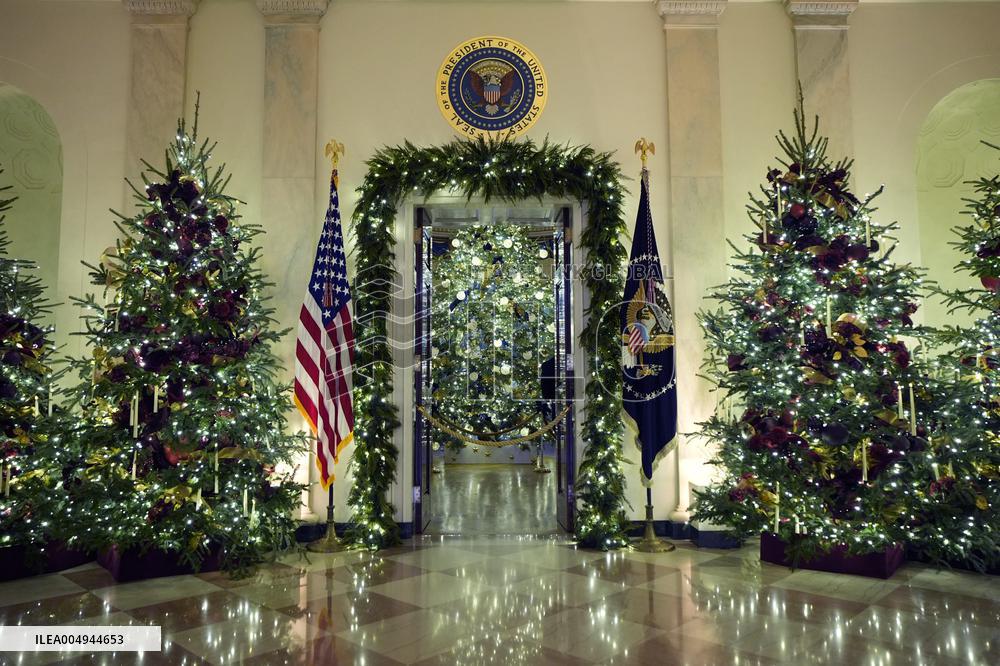 White House Christmas Design - Washington