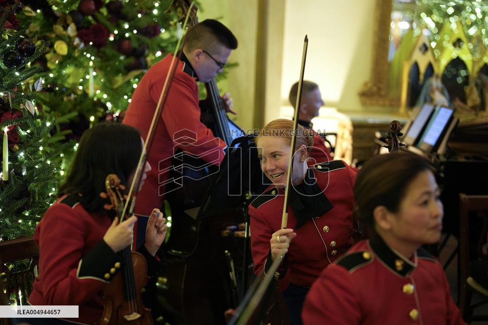 White House Christmas Design - Washington