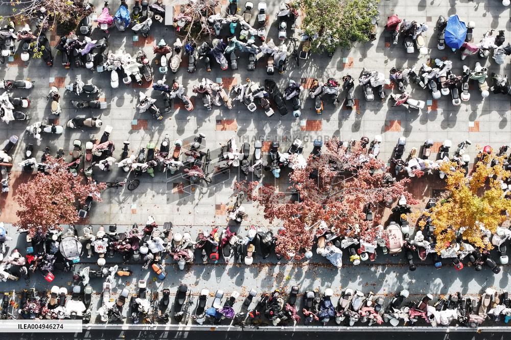 Office Workers Electric Bicycles