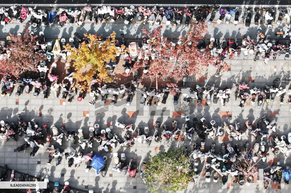 Office Workers Electric Bicycles