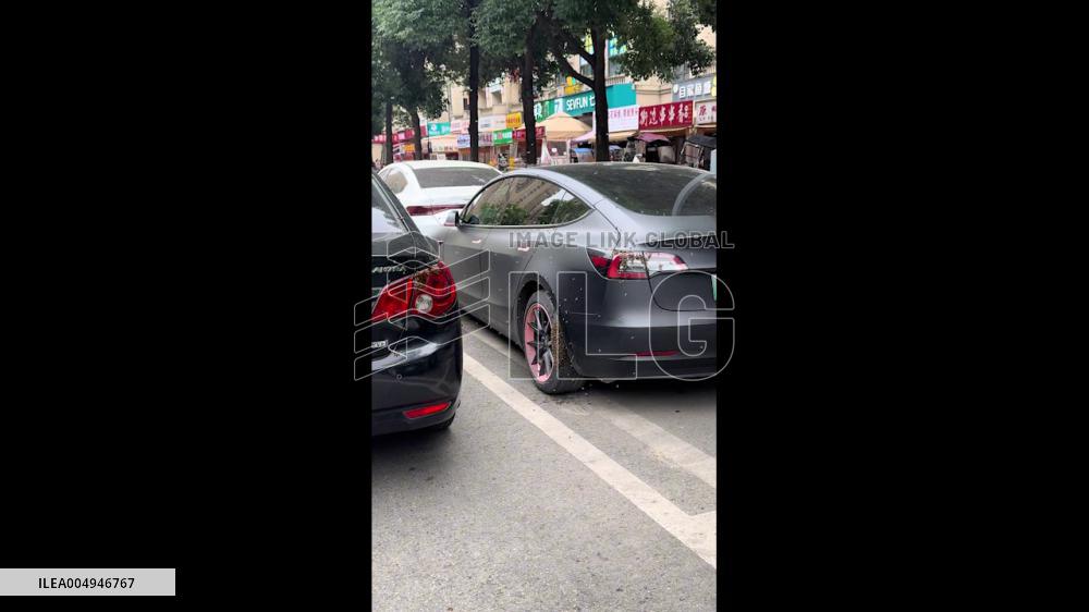 China: Swarm of Hundreds of Bees Covers Car Wheel in Sichuan