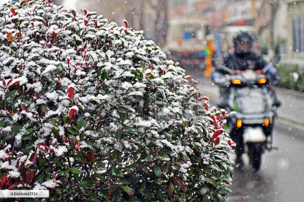 First Snow Hit Yantai