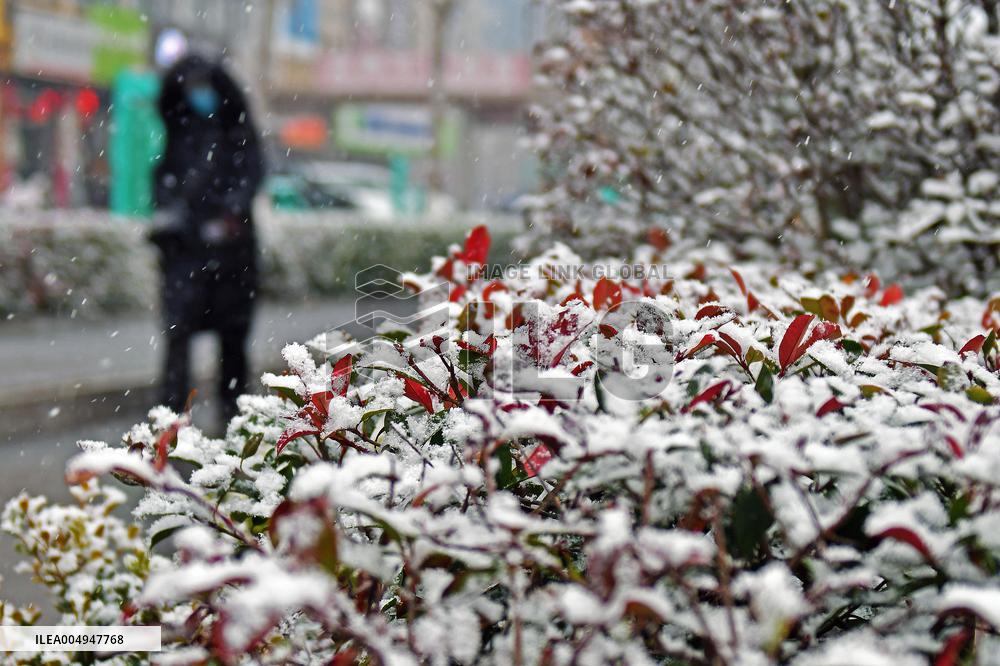 First Snow Hit Yantai