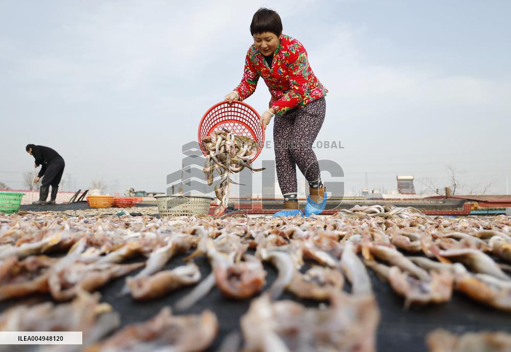 Locals Airing Fish - China