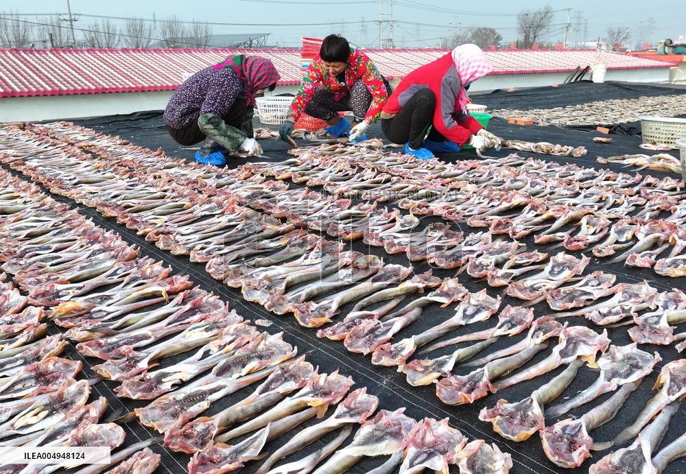 Locals Airing Fish - China