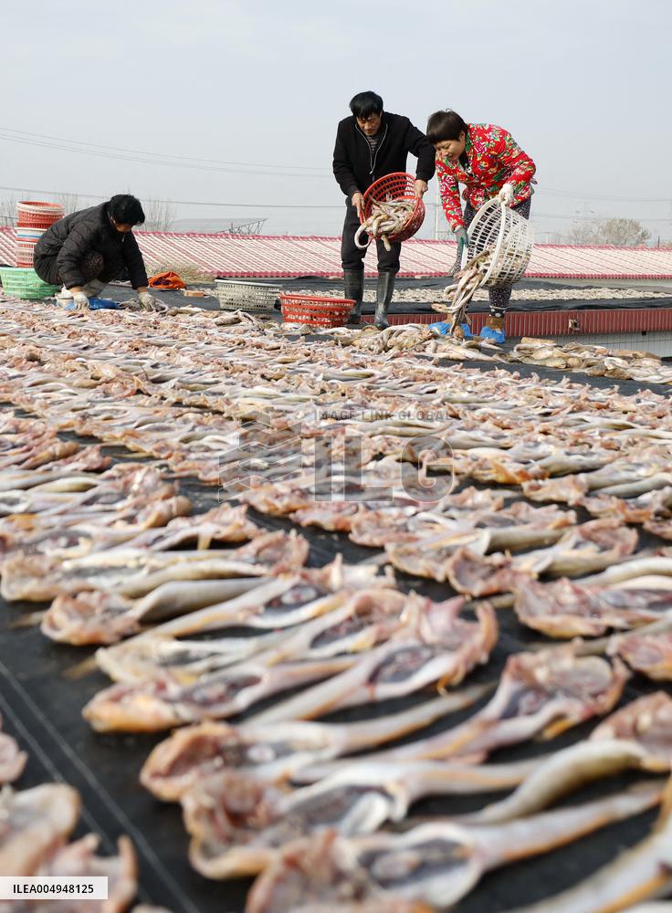 Locals Airing Fish - China