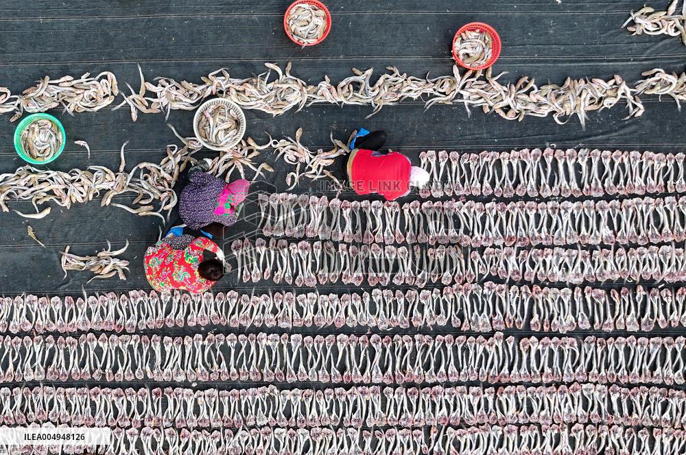 Locals Airing Fish - China