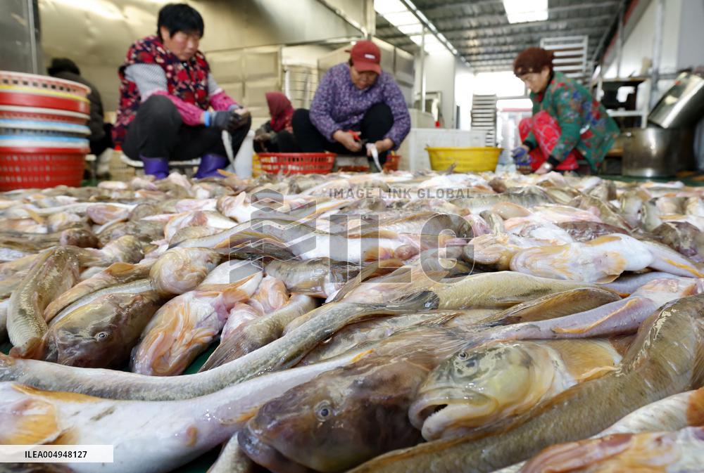 Locals Airing Fish - China