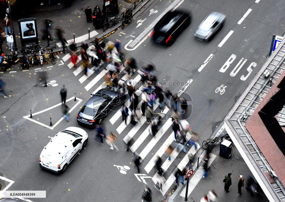 The Pedestrian Crossing Illustration - Paris
