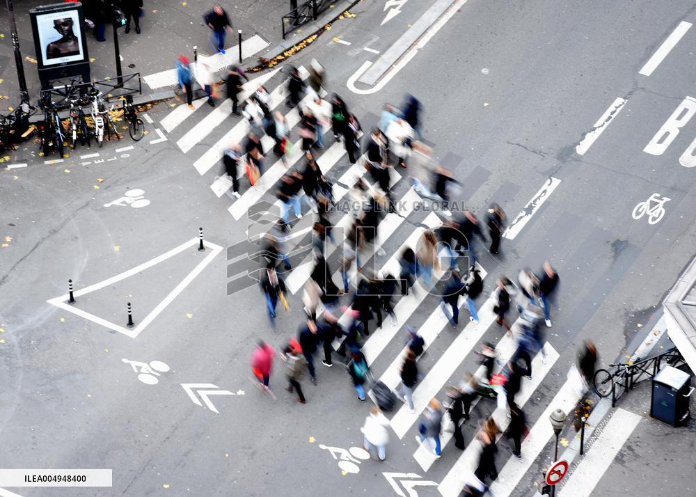 The Pedestrian Crossing Illustration - Paris