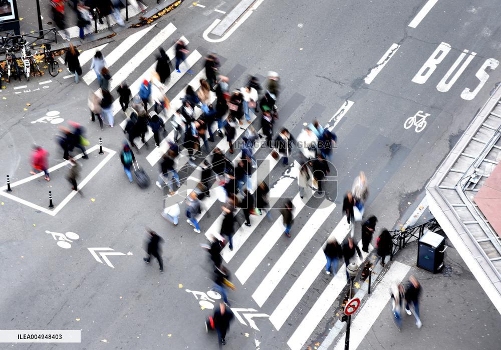 The Pedestrian Crossing Illustration - Paris