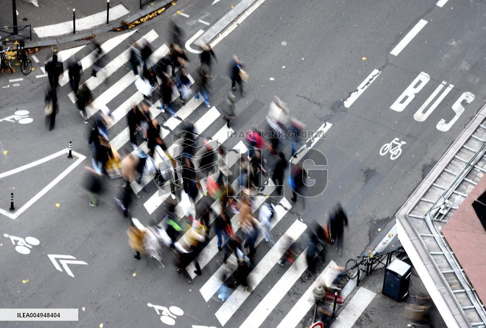 The Pedestrian Crossing Illustration - Paris
