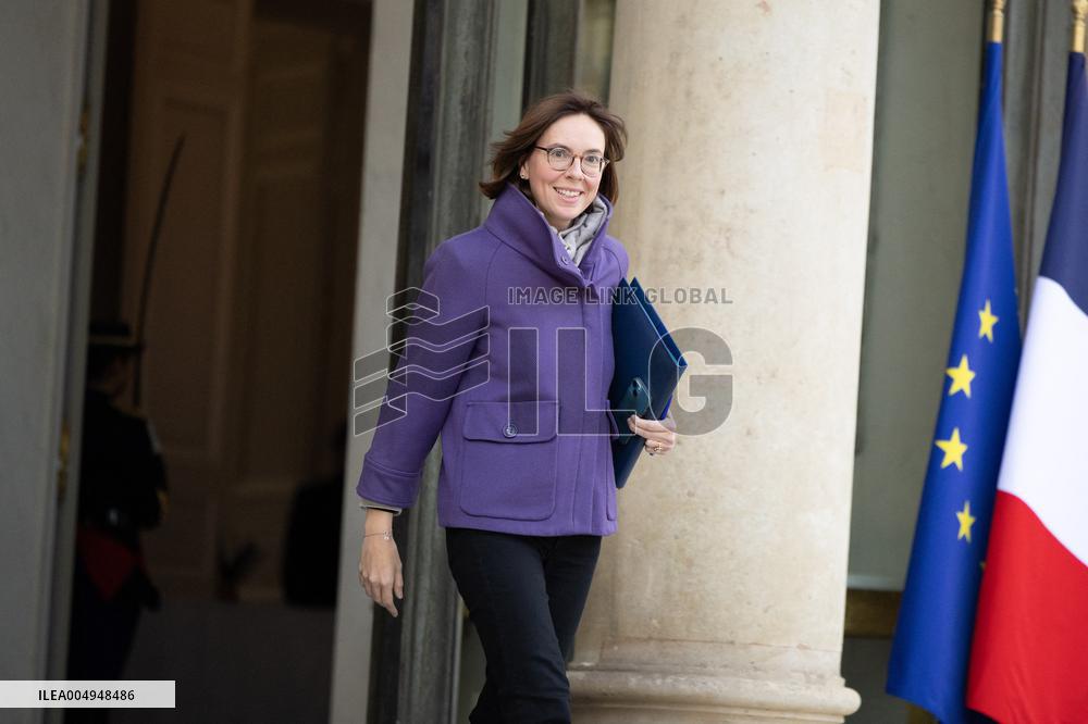 Weekly cabinet meeting at the Elysee Palace - Paris