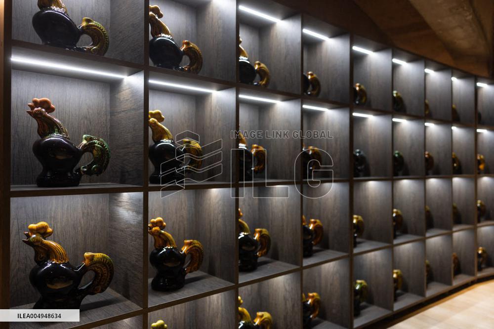 Olena Zelenska at the Launch Event for Voyage en Ukraine - Paris