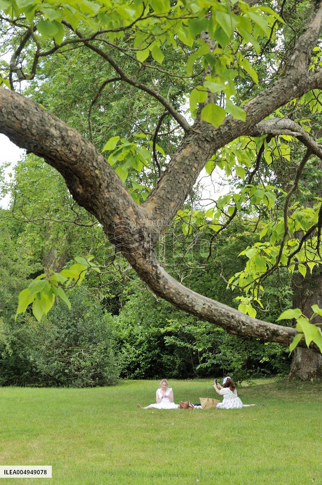 Illustration - Versailles