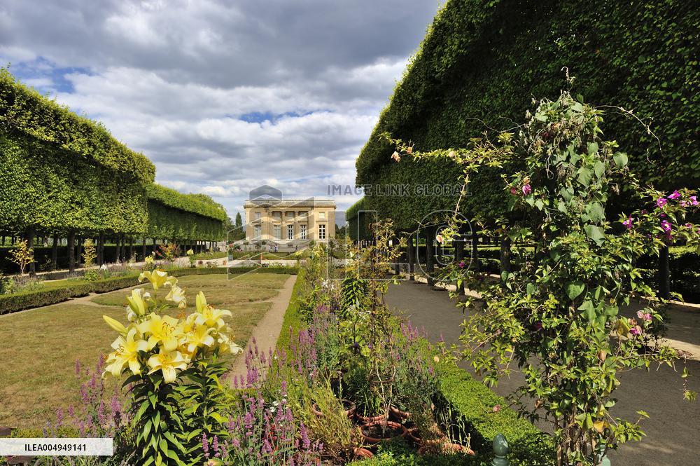 Illustration - Versailles