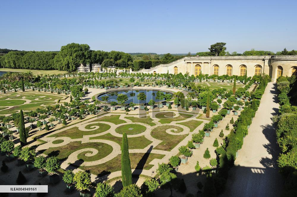 Illustration - Versailles