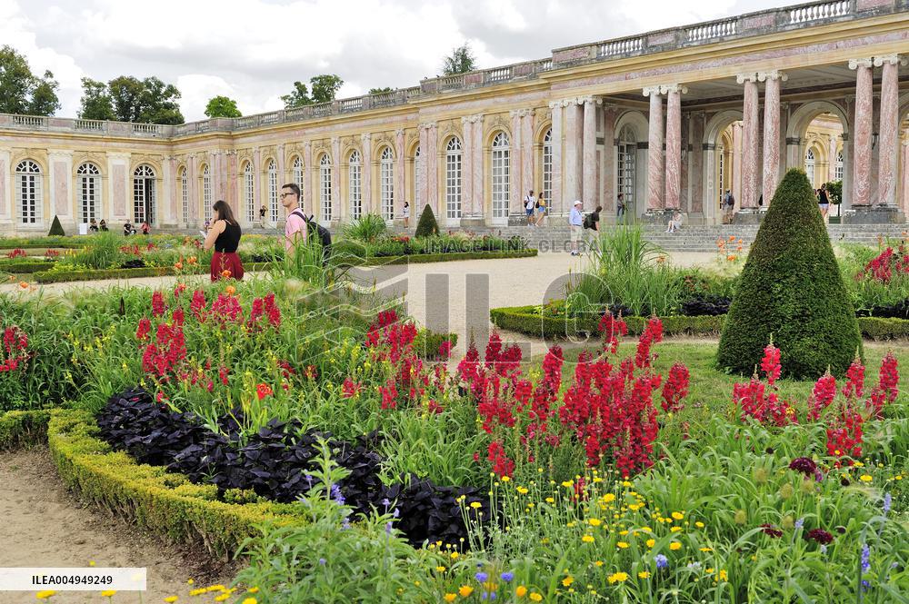 Illustration - Versailles