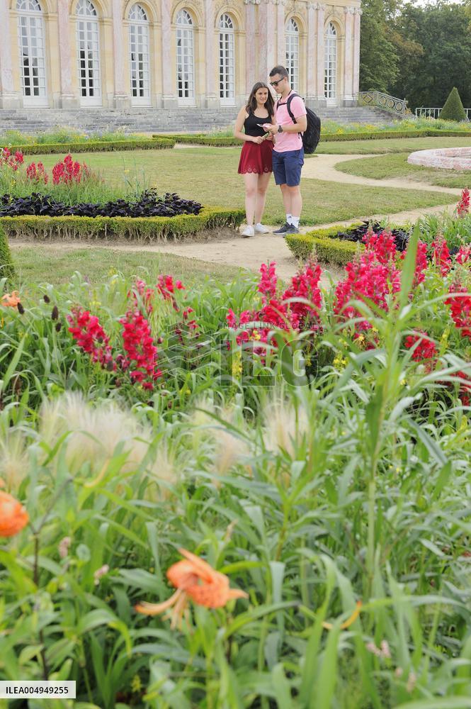 Illustration - Versailles